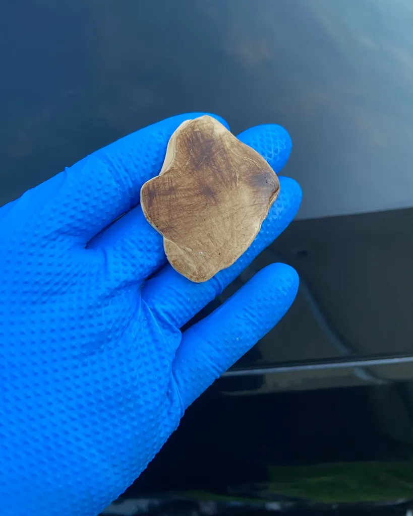 l'art du détail décontamination peinture voiture Allier (03)