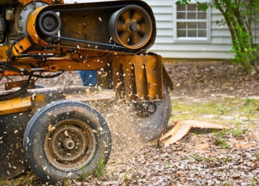 Un élagueur professionnel pour enlever la souche d'un arbre après l'abattage dans un jardin à Lesparre Medoc