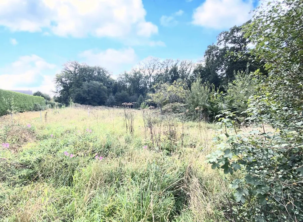 Terrain à vendre BOSC LE HARD