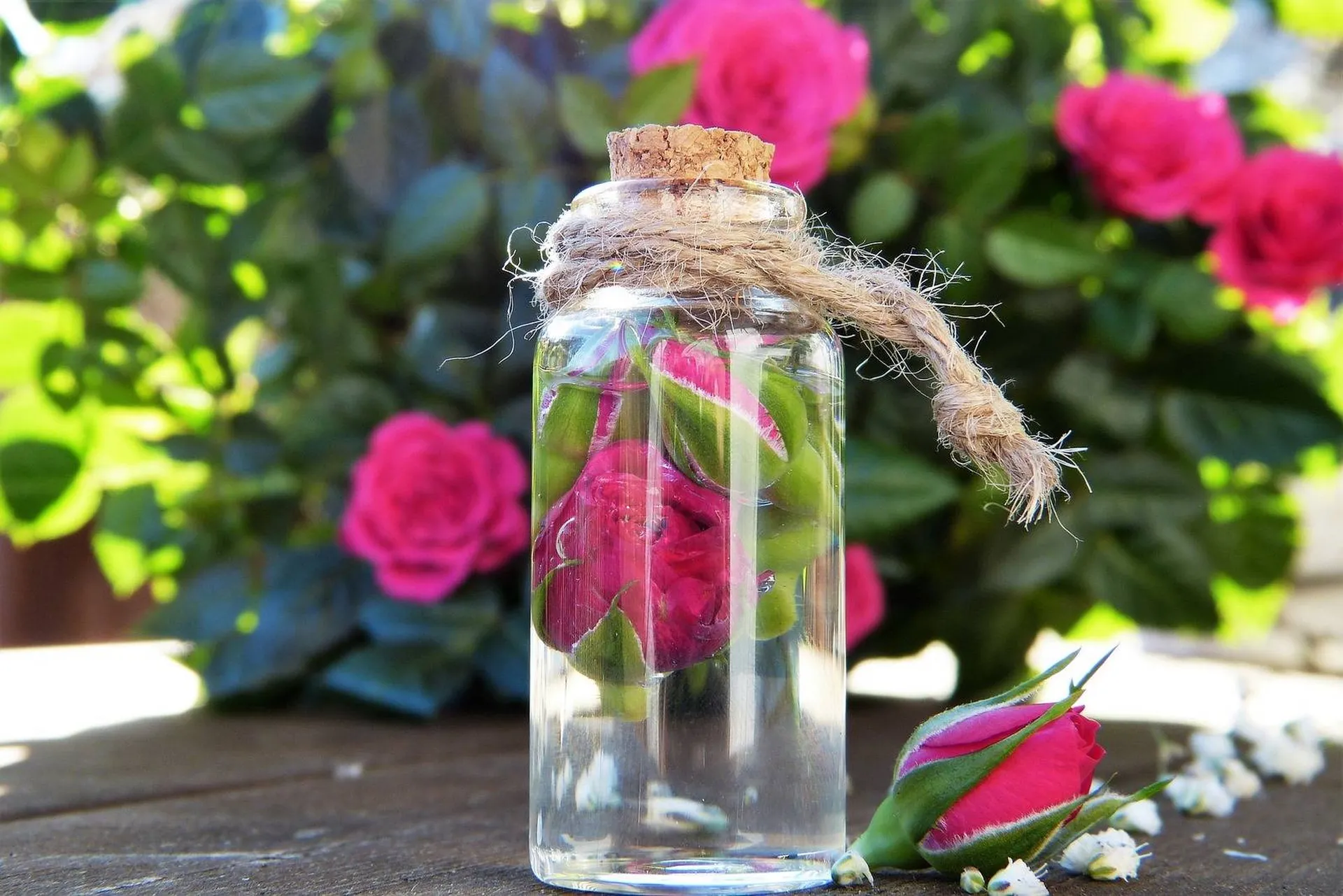 Entreprise de conseil spécialisée dans la formulation de détergent naturel sur mesure à Marseille
