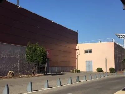 Taille et nettoyage Entrée 1