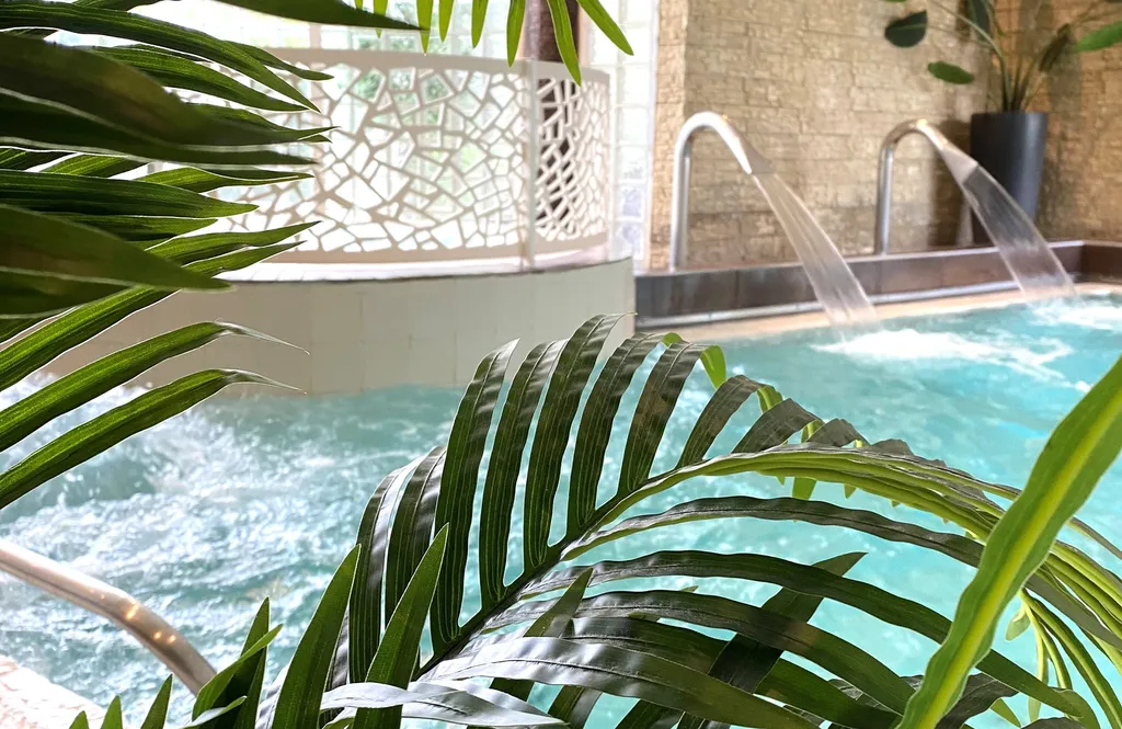 Nullam facilisis massa primis praesent ligula gravida