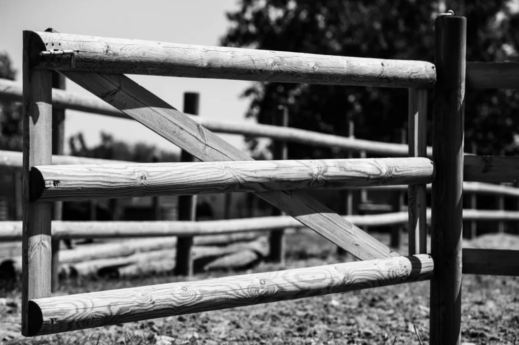 Pension de chevaux à l'année au Grau-Du-Roi