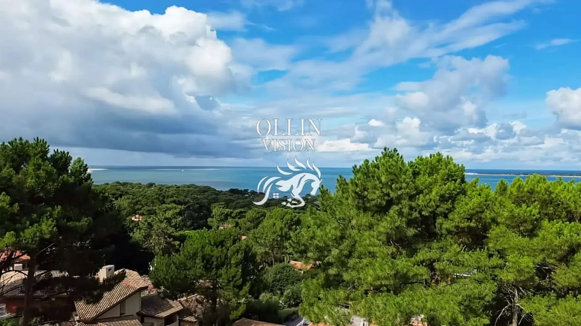Villa vue imprenable sur le bassin d'Arcachon
