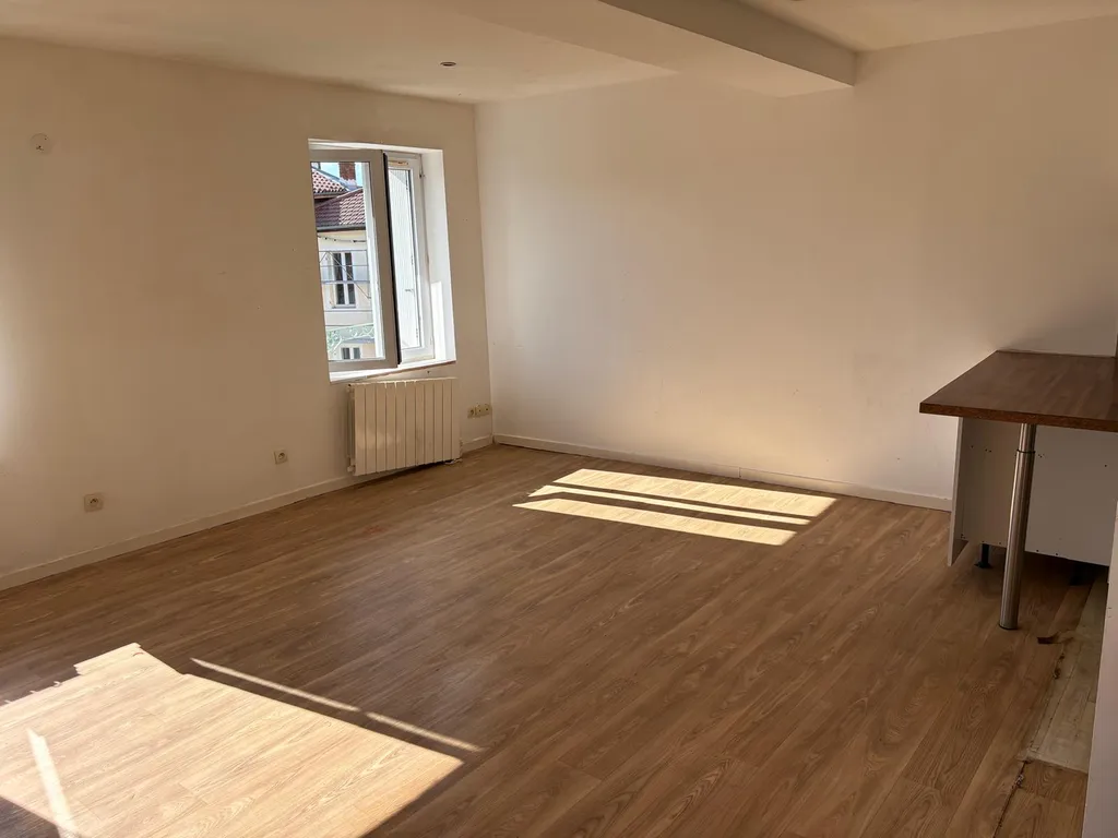 Nettoyage et remise en état d'appartement : vider, trier et assainir à Romans-sur-Isère (26100)