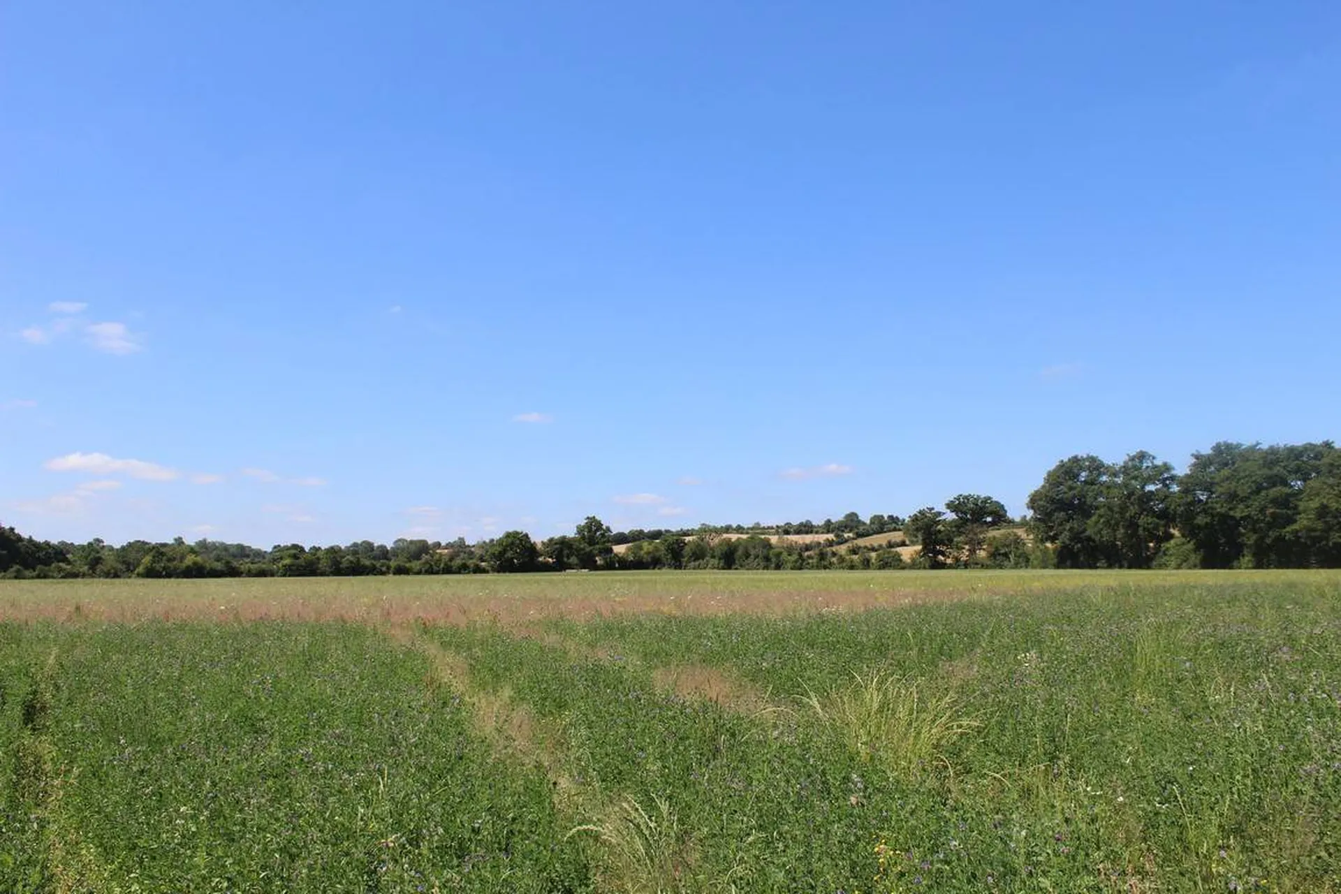 Visite villa en pierre et sa maison d'amis ou gîte proche de Falaise 14700