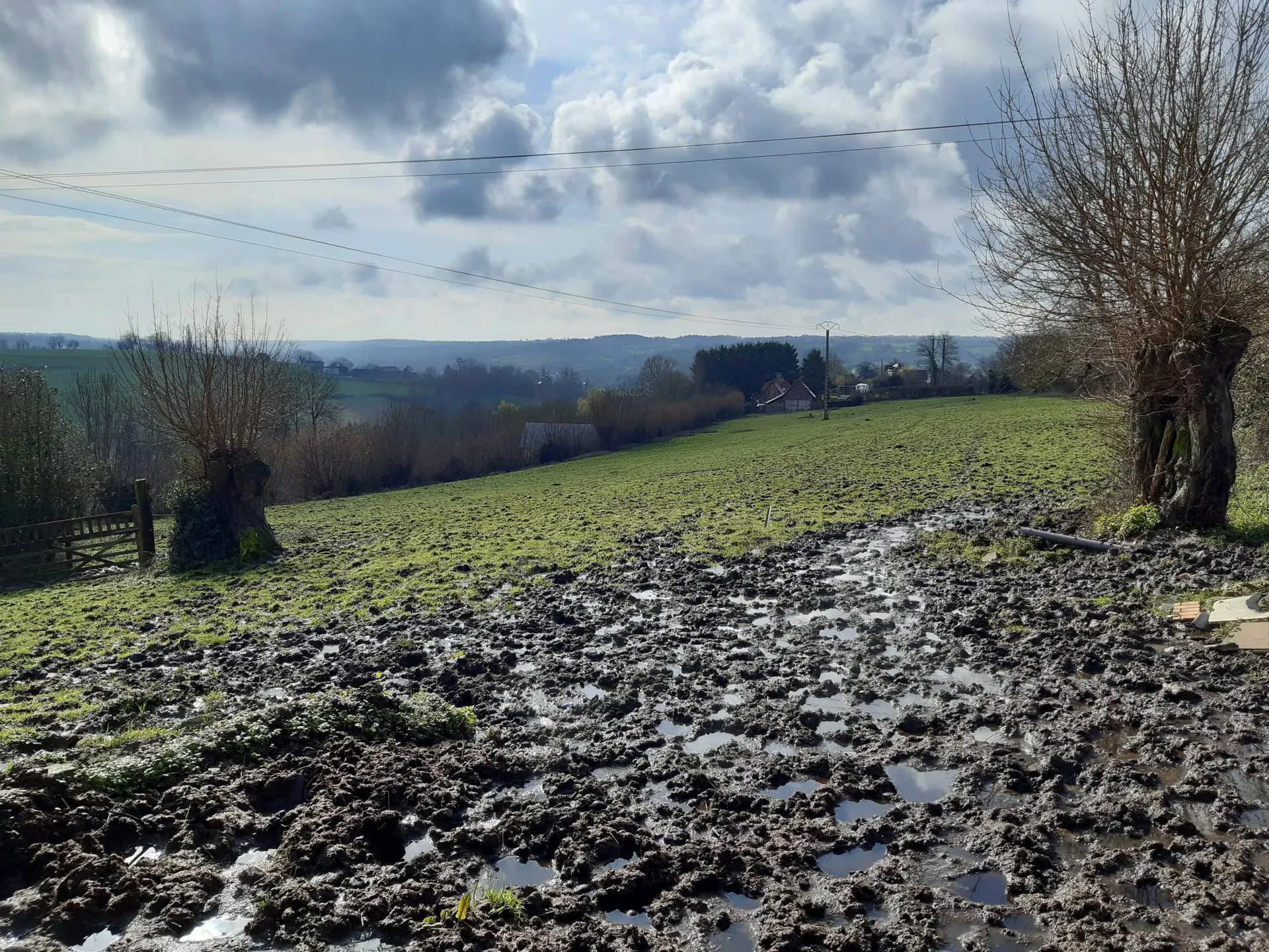 Maison en briques et colombages, région Lisieux, Calvados 14