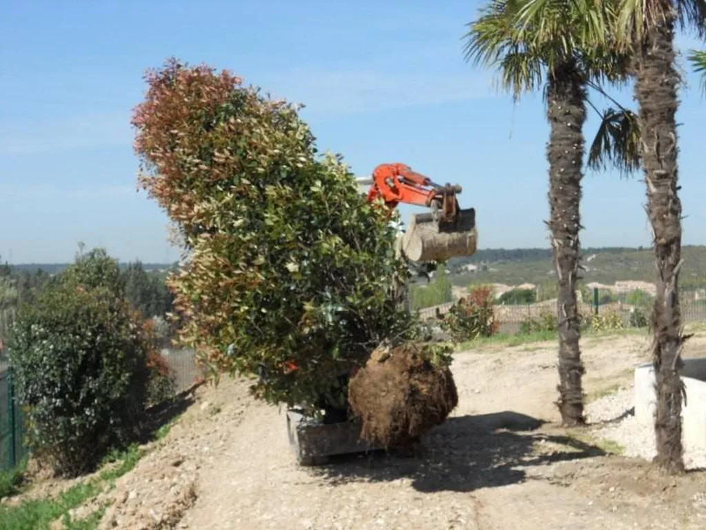 Plantation d'une Haie mixte par le paysagiste de Fuveau.