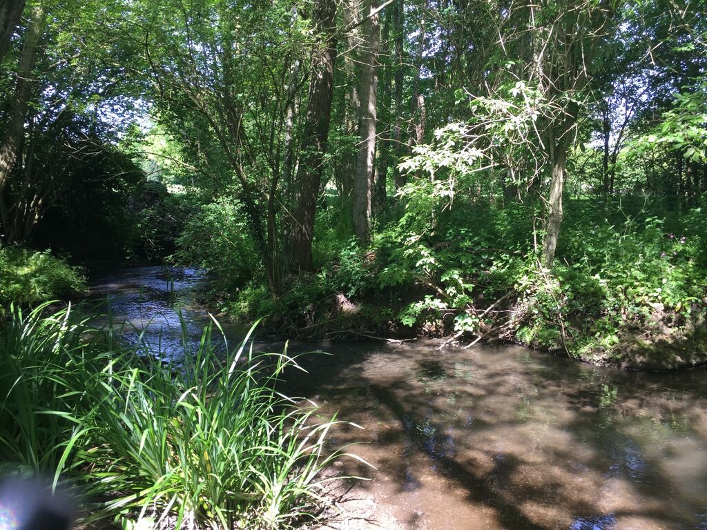 Recherche un ancien pressoir rénové en plein coeur du pays d'auge, Calvados 14, Eure 27, Orne 61
