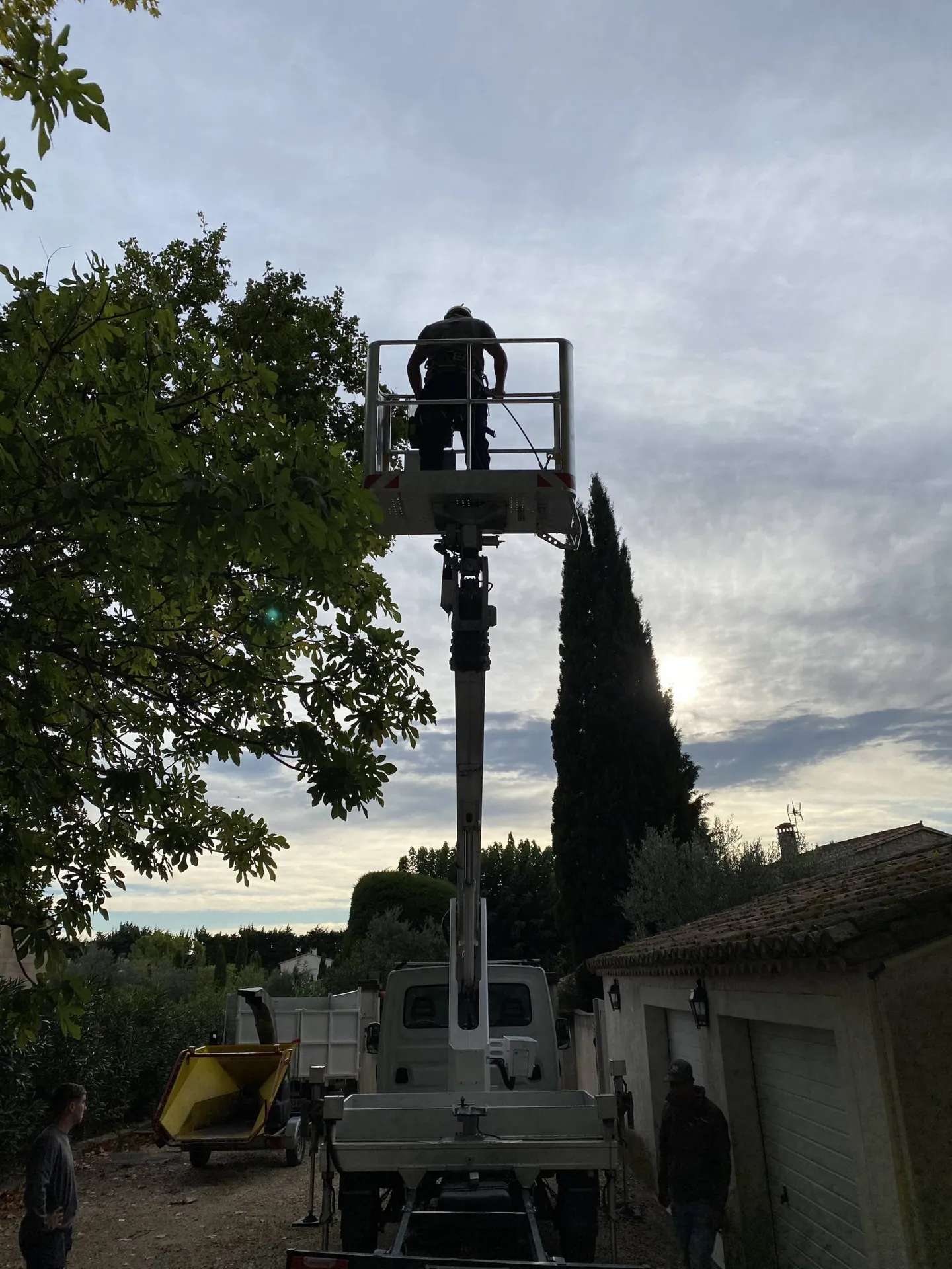 Élagage de platane à Paradou, 13520, dans les Alpilles, réalisé par des paysagistes professionnels pour un entretien soigné et sécurisé de vos arbres
