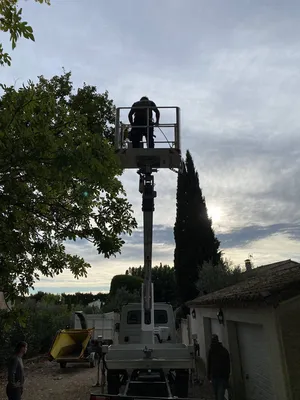 Élagage de platane à Paradou, 13520, dans les Alpilles, réalisé par des paysagistes professionnels pour un entretien soigné et sécurisé de vos arbres