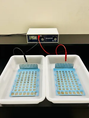 Ionophorèse Marseille
