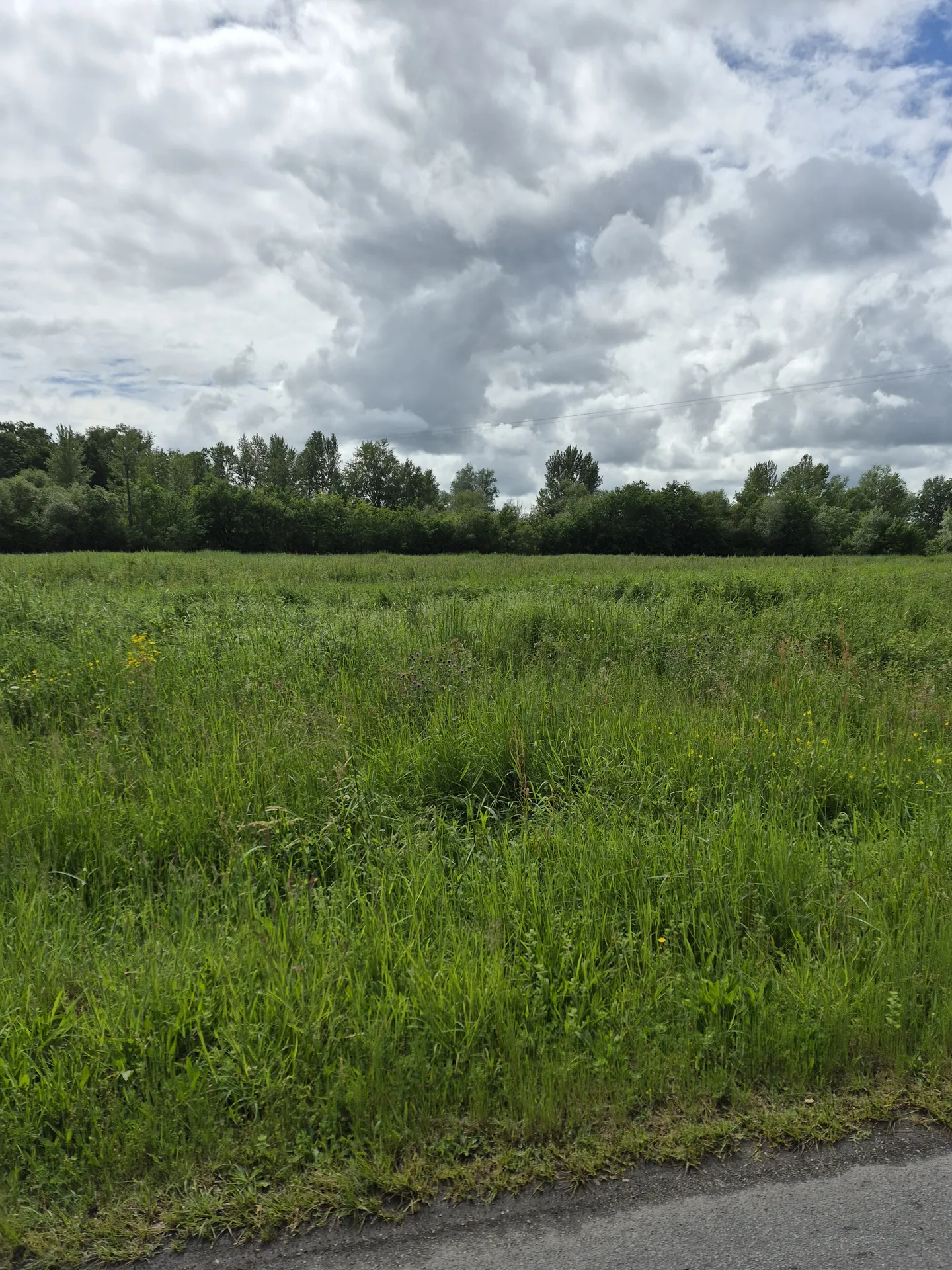 Terrain à vendre de 2027 m² sur Montpon Ménesterol