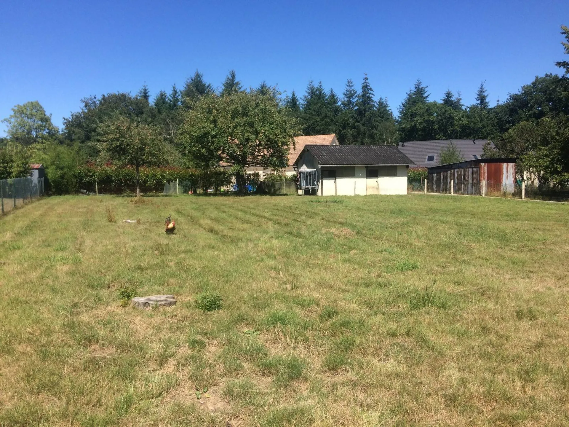 Terrain plat à bâtir de 1026m² à vendre à Grandcamp, 76170 - Environnement calme