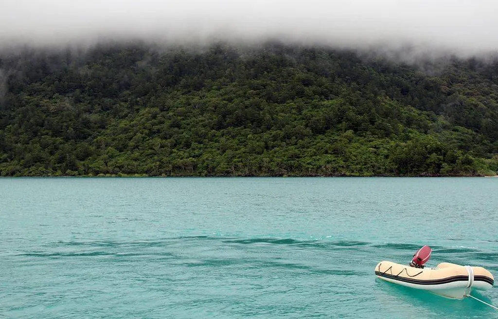 Annexe de bateau motorisée Var