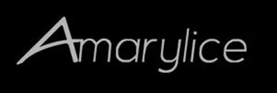 Amarylice fleuriste Lyon Presqu'île