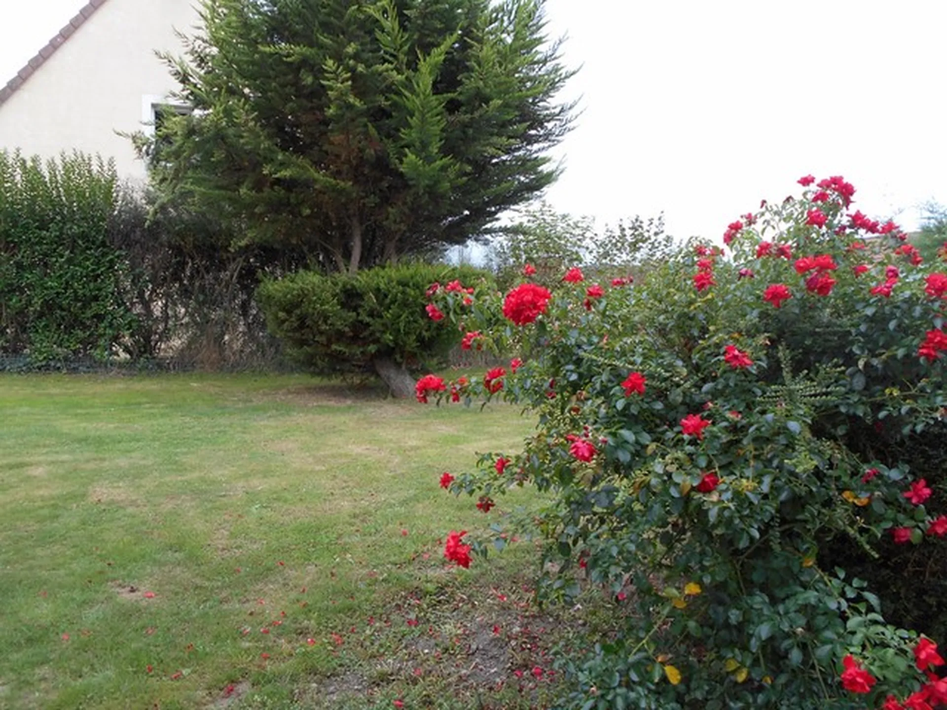 MAISON EN VENTE A LISIEUX