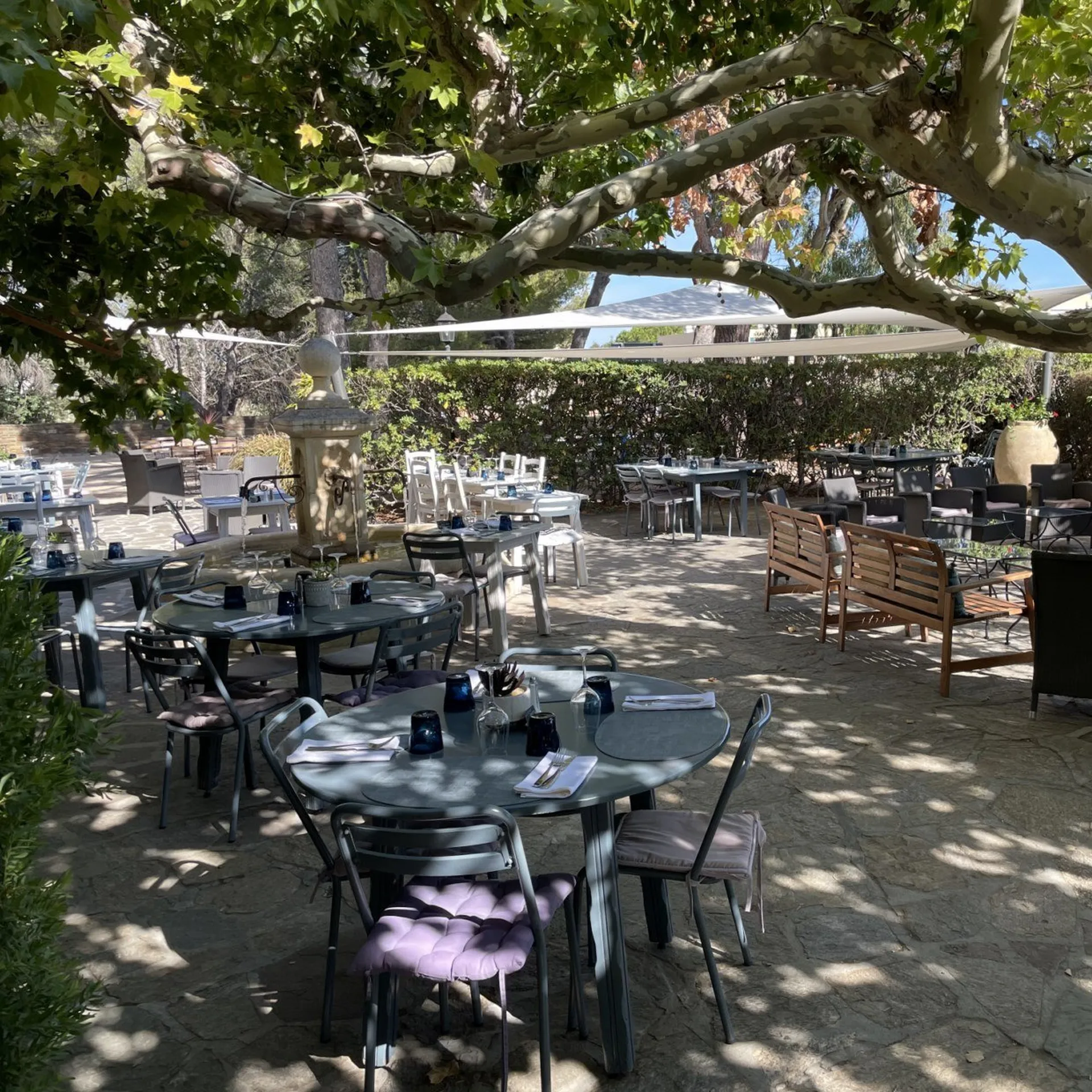 Jardin et terrasse proche de la plage de La Favière. Hôtel De La Plage - HDLP de Bormes Les Mimosas (Var 83) proche du Lavandou et La Londe