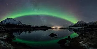 Transporteur pour la Norvège en express