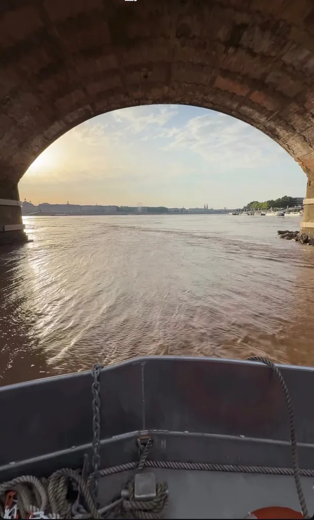 Sortie en bateau pour événement d'entreprise à Bordeaux