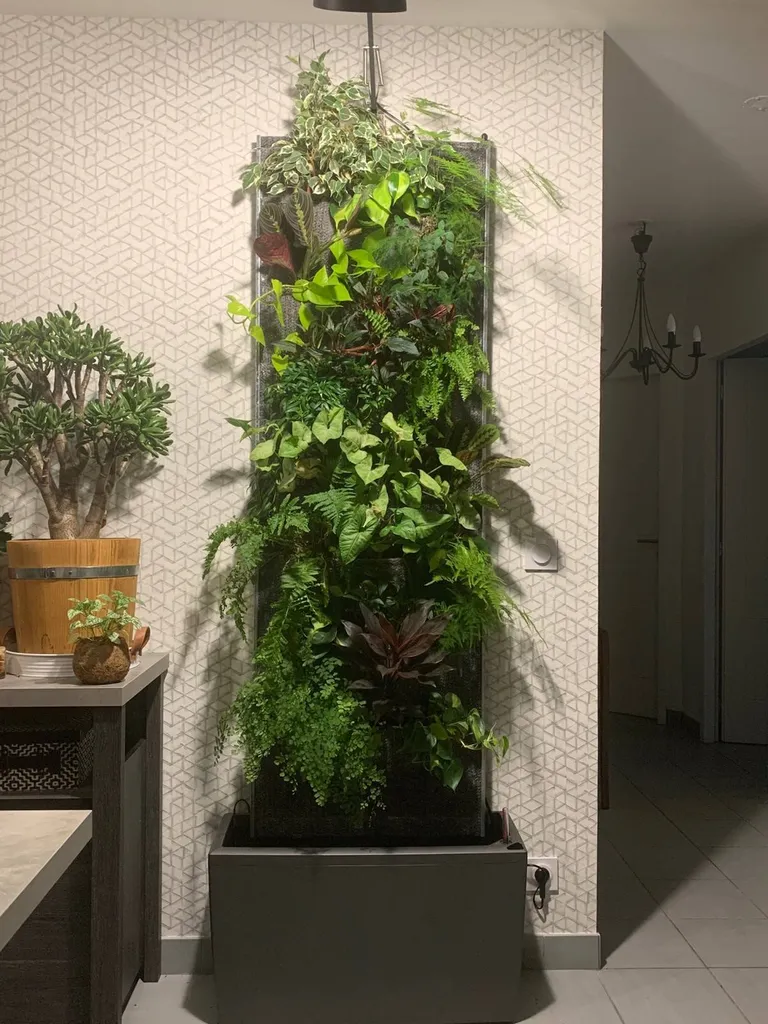 Murs végétaux : Une solution esthétique et écologique pour votre espace à Sanguinet avec Évolution Paysage