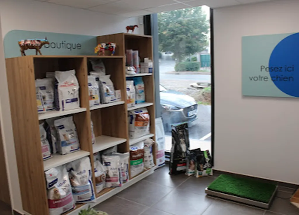 Création d'une clinique vétérinaire à saint georges de reneins rhone