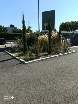 Avant l'entretien des espaces verts d'une entreprise à Avignon