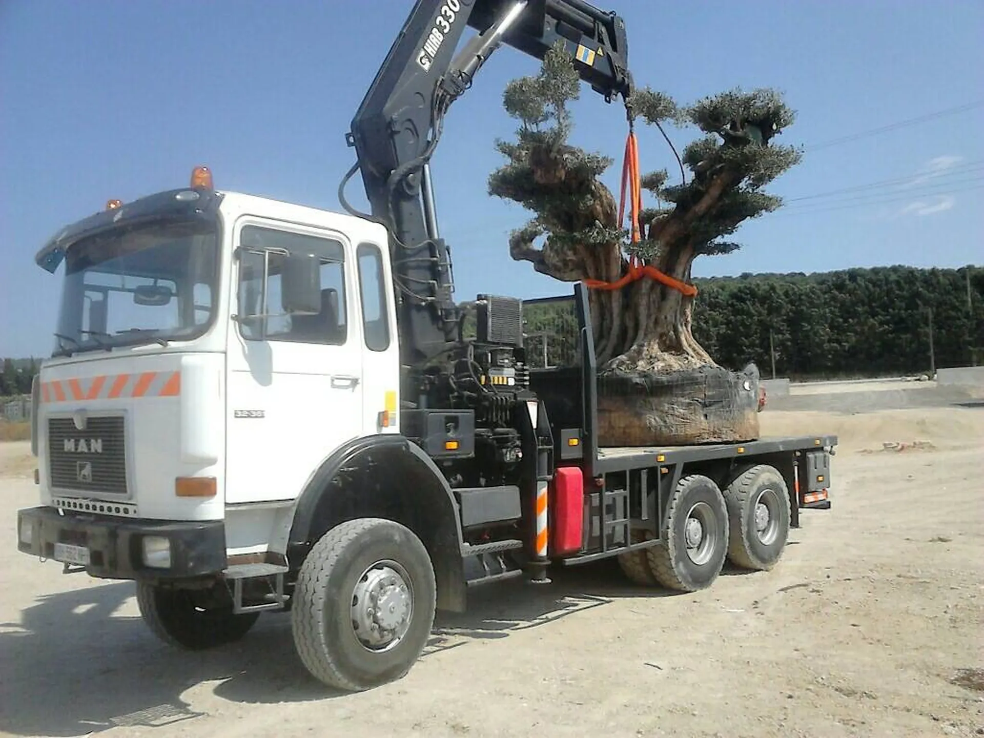 Exemple de Camion grue utilisé pour lever un olivier pour des jardins ou des parcs en Provence