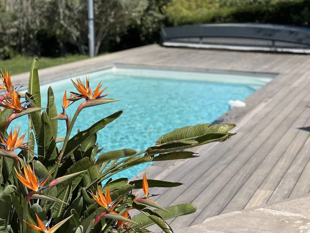 piscine avec jardin et terrasse planchée