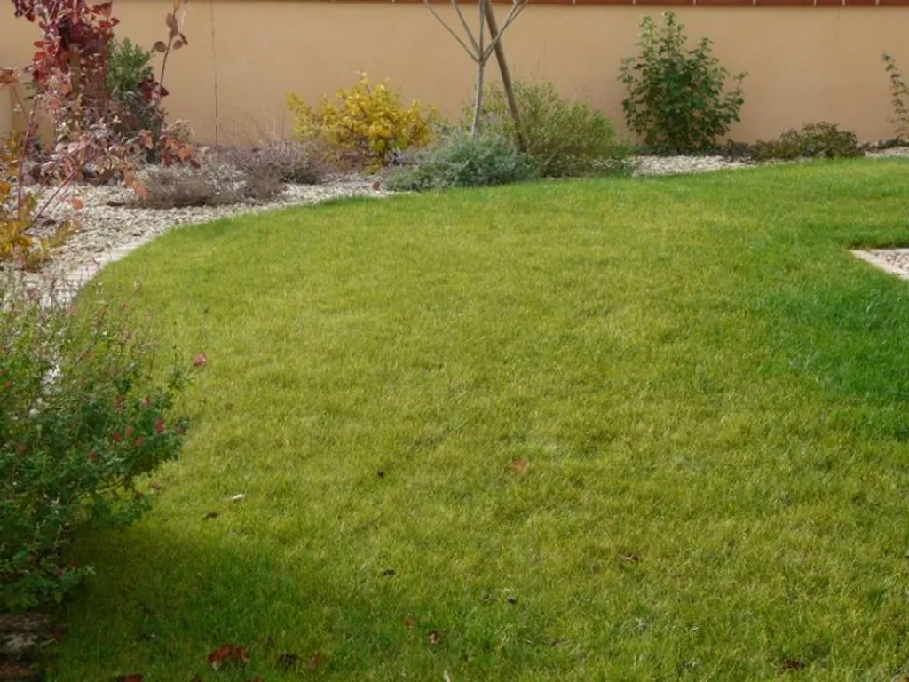 Entretien de Jardin sur Muret