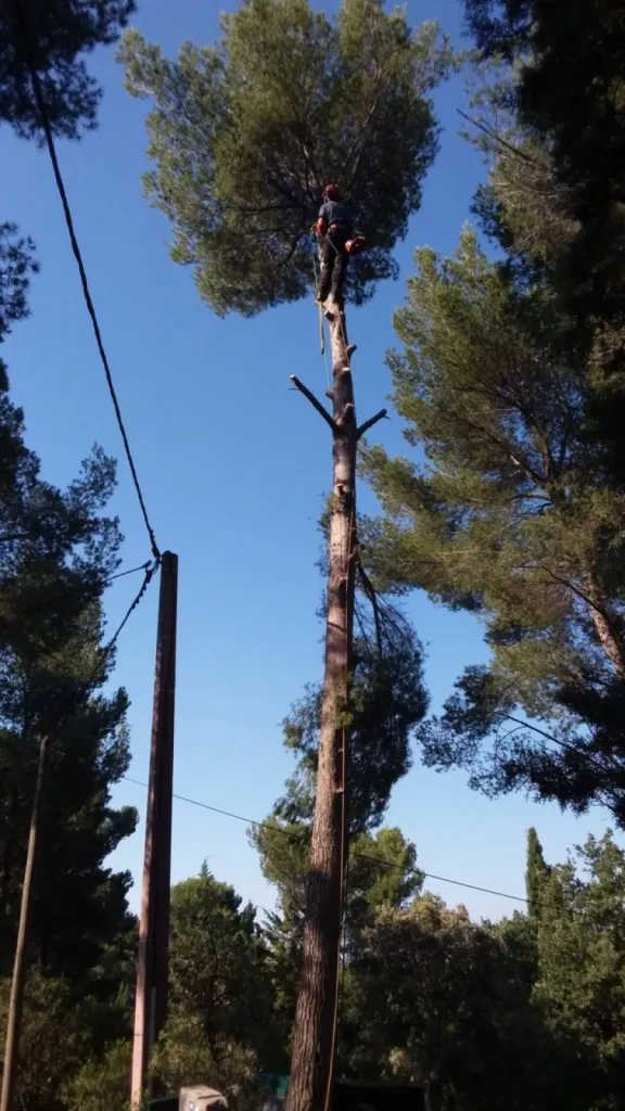 Nos prestations sur le secteur deà Bouc-Bel-Air proche Cabriès 