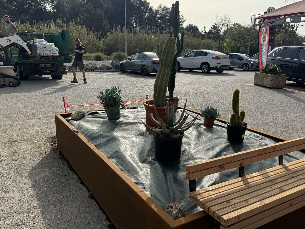 Rognage de souche et reprise d’enrobé à Bandol – Jardivar