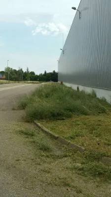Finitions du débroussaillage