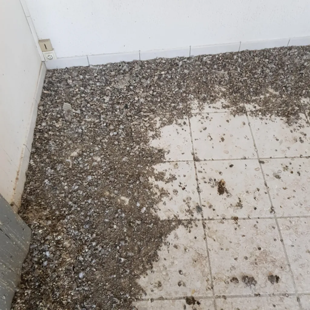 nettoyer caca de pigeons