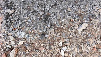 Location de benne pour gravats à Sélestat et aux alentours : livraison rapide sur rendez-vous