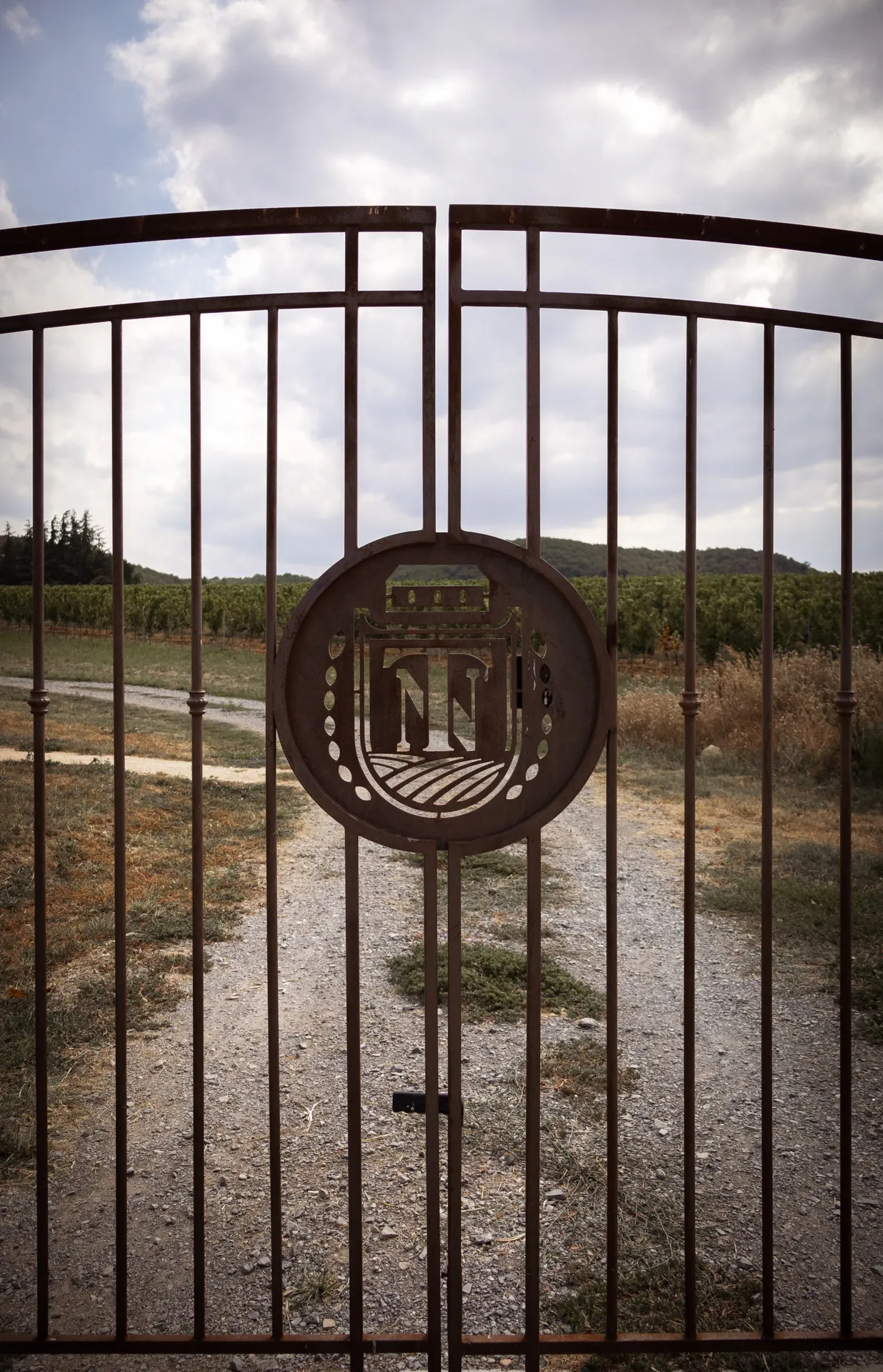 Portail sur mesure en fer forgé pour la cave a vin Terra Noé a Rochecolombe en Ardèche.