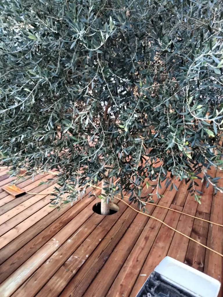 Construction de terrasse bois en pin surélevée autour d'une piscine sur le Bassin d'Arcachon