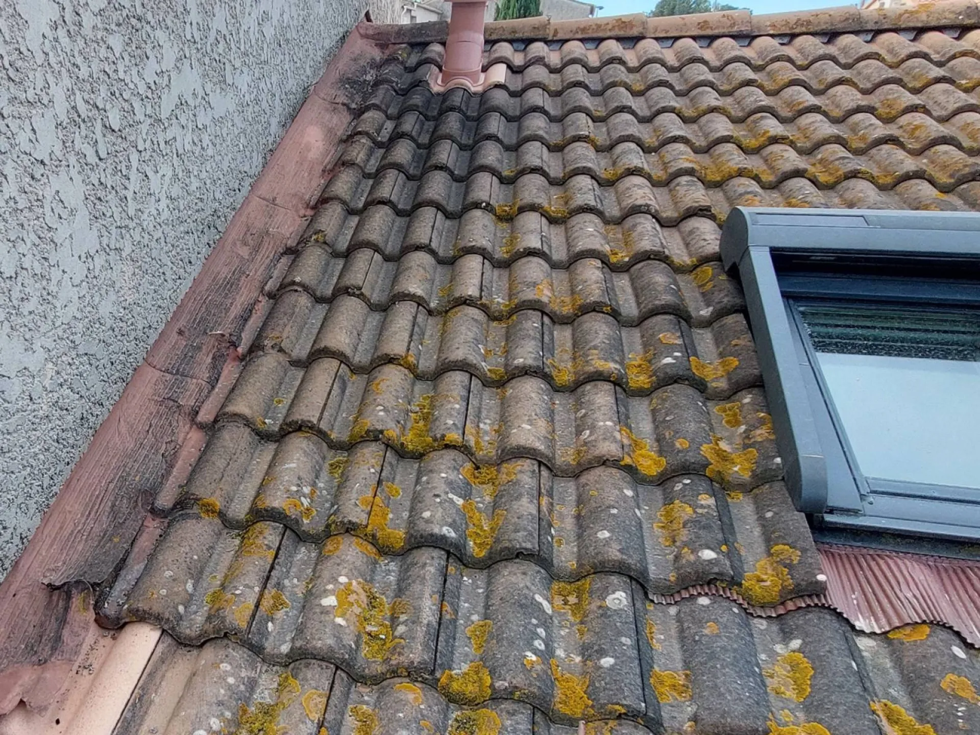 Moisissures et inspection sur la toiture d'une maison toulonnaise dans le Var