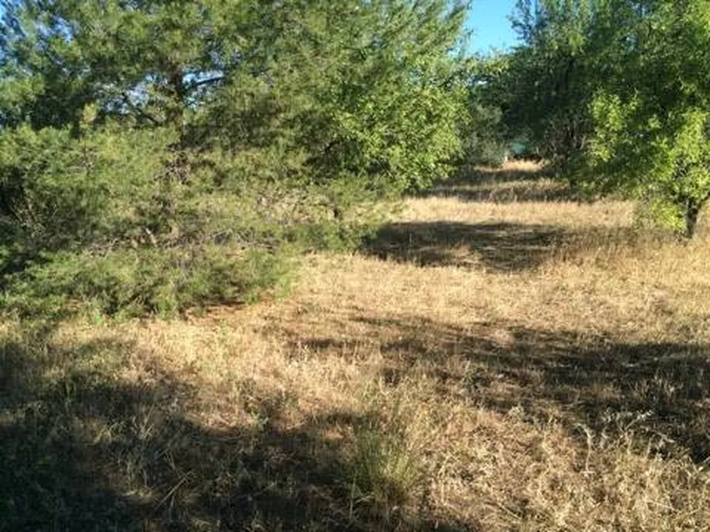 Débroussaillage paysager dans la région de Marseille