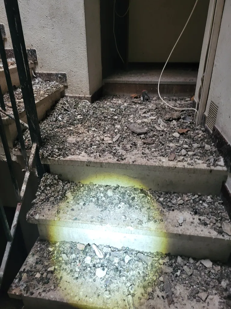 Accumulation de déjections de pigeons avant intervention sur site à Montélimar