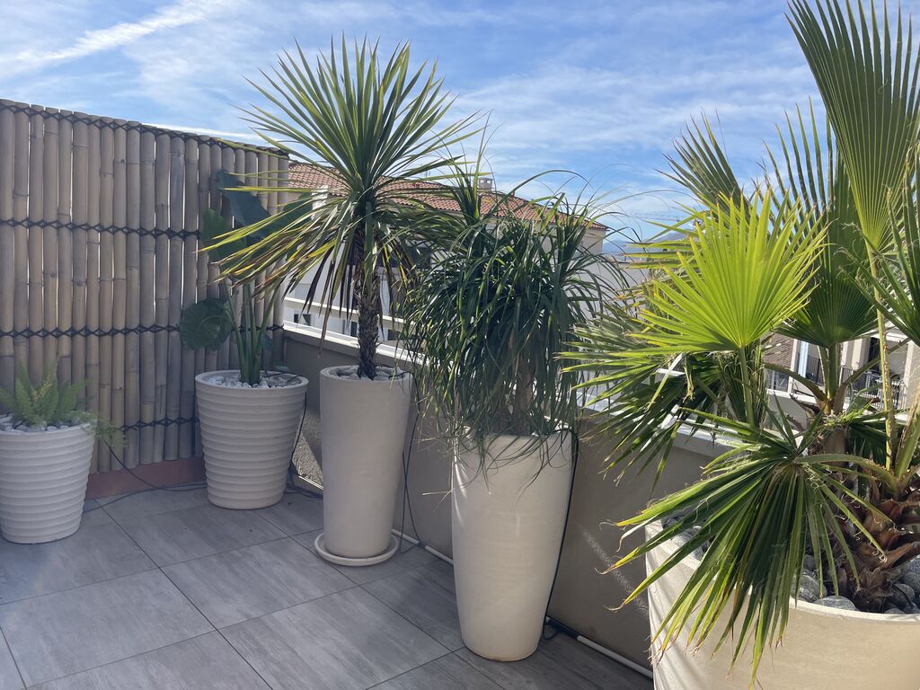 Création de jardinières avec végétaux méditerranéens, arrosage goutte-à-goutte et clôture bambou à Hyères-les-Palmiers