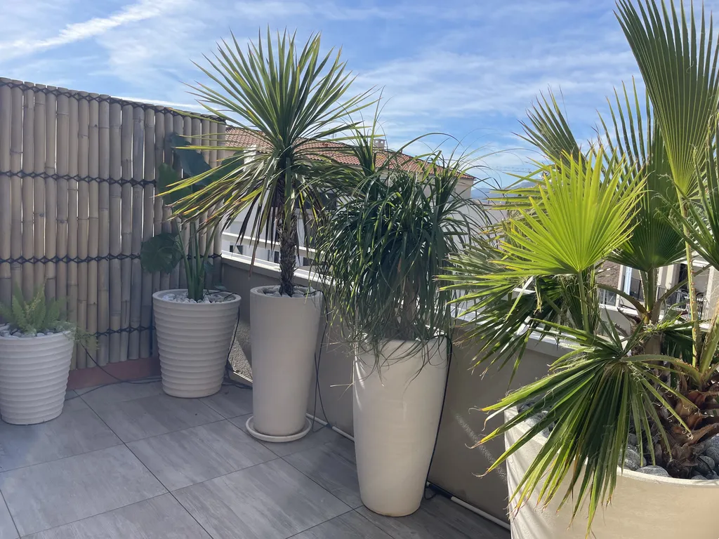 Création de jardinières avec végétaux méditerranéens, arrosage goutte-à-goutte et clôture bambou à Hyères-les-Palmiers