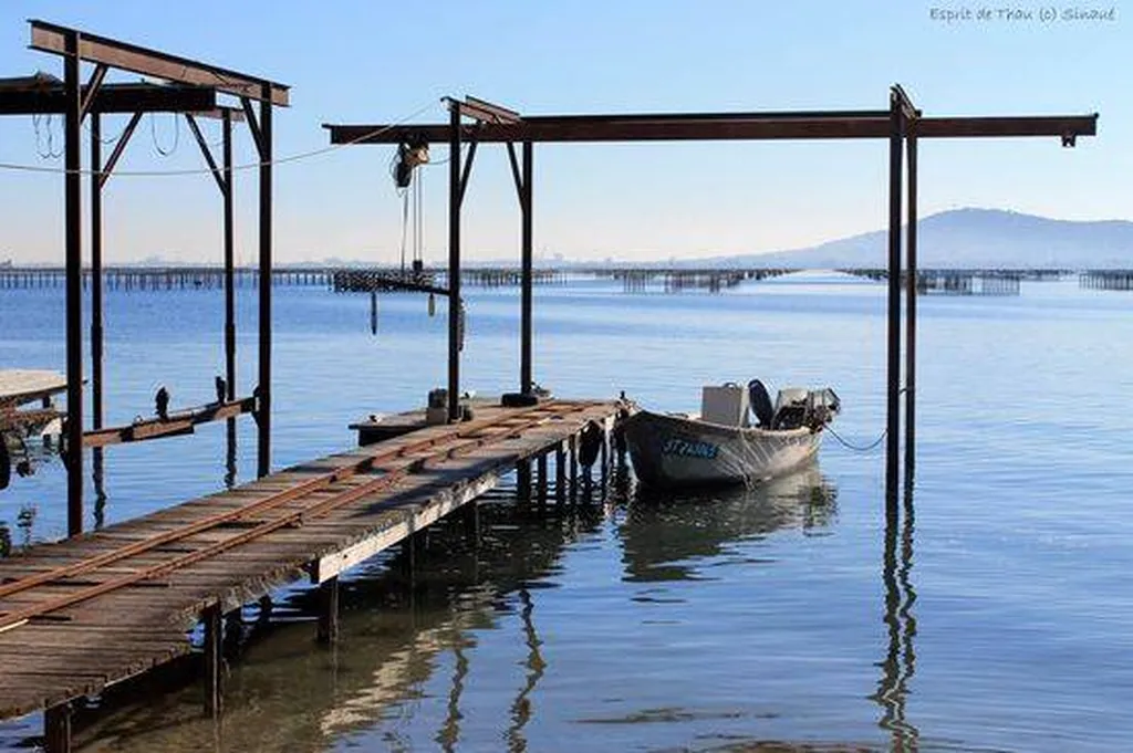 L'Etang de Thau proche de Vias plage