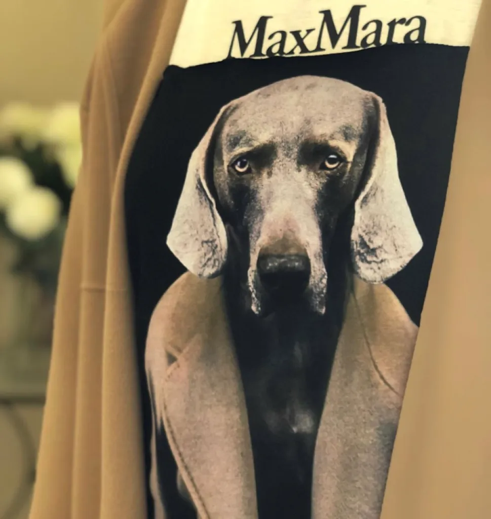 MaxMara chez Sacha à Ménerbes dans le Luberon