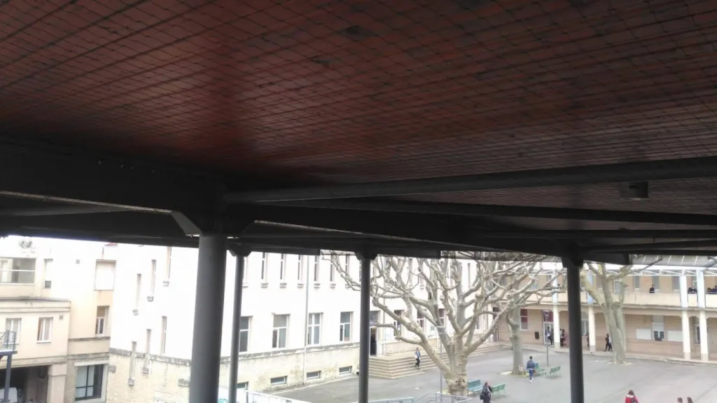 entreprise de dépigeonnage 
