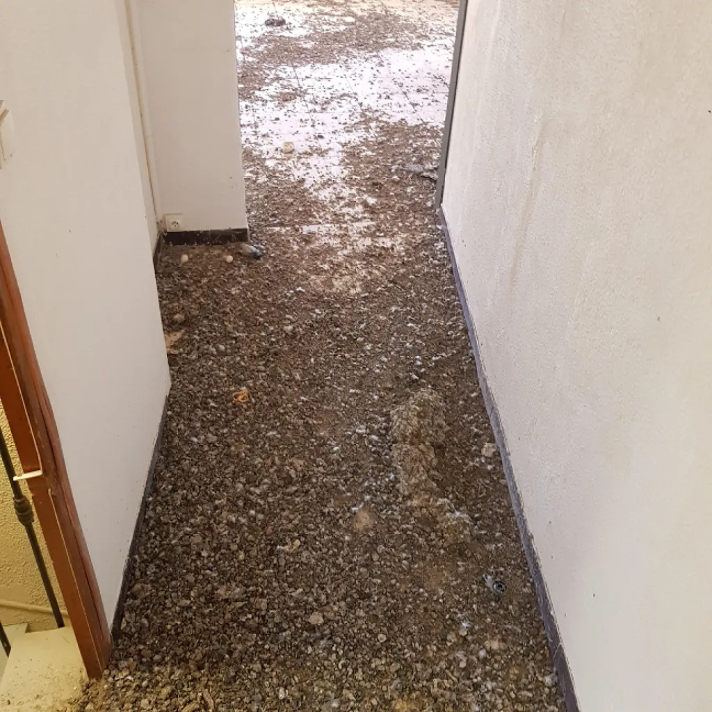 nettoyage et déso=infection caca de pigeon a marseille