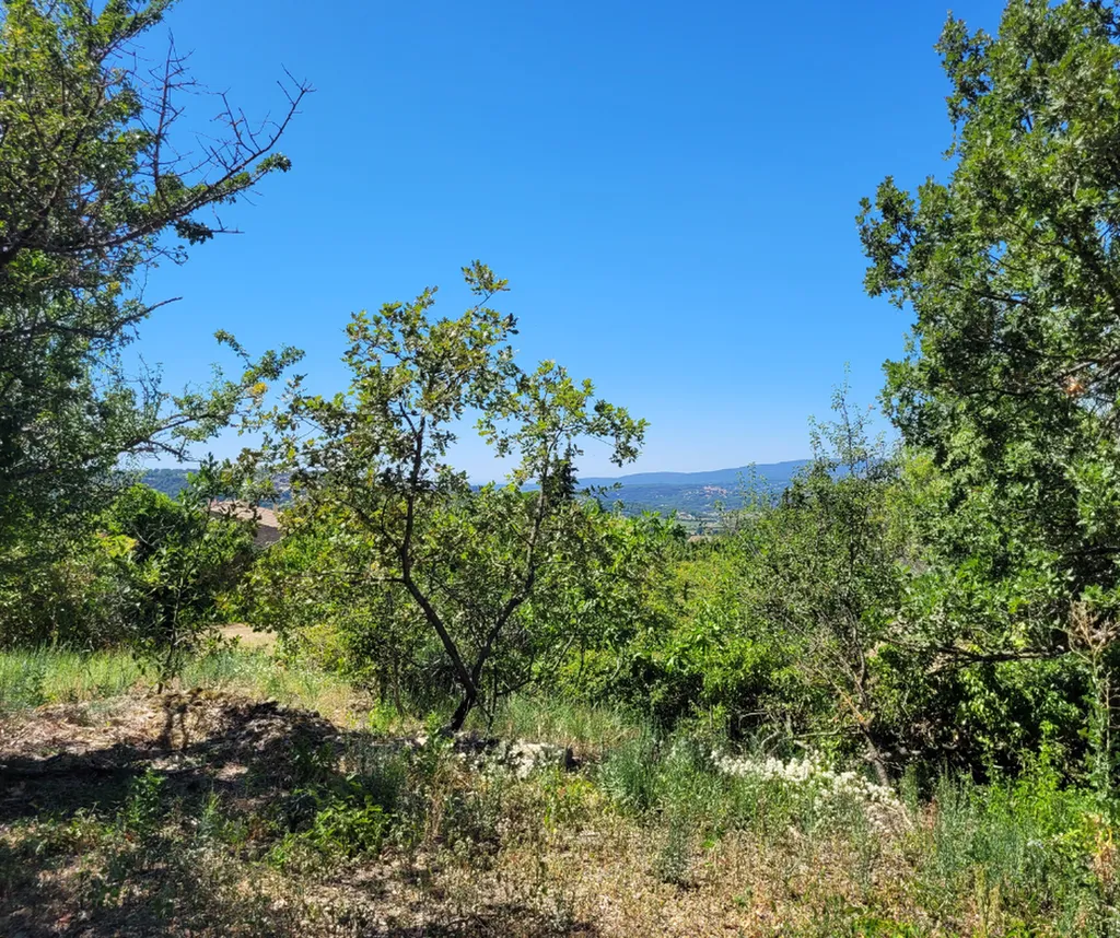 Parcelle constructible sur la magnifique commune de Bonnieux en plein cœur du Lubéron