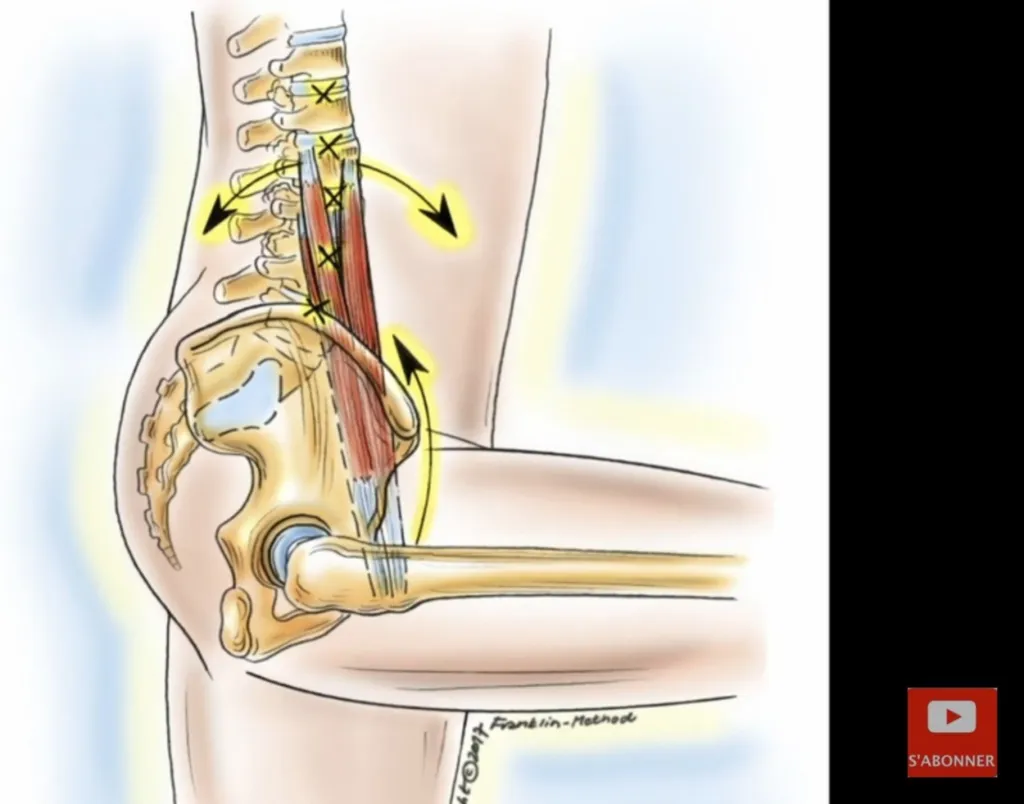 pourquoi étirer le muscle psoas 