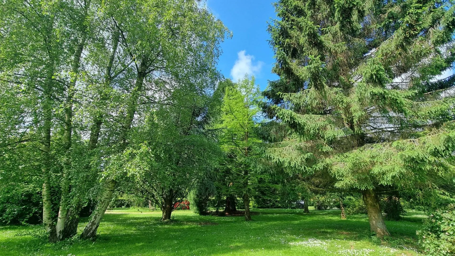 COUP DE COEUR à vendre belle propriété de caractère, 160 m², 3 chambres, située dans un le bourg dynamique des Grandes-Ventes 76950