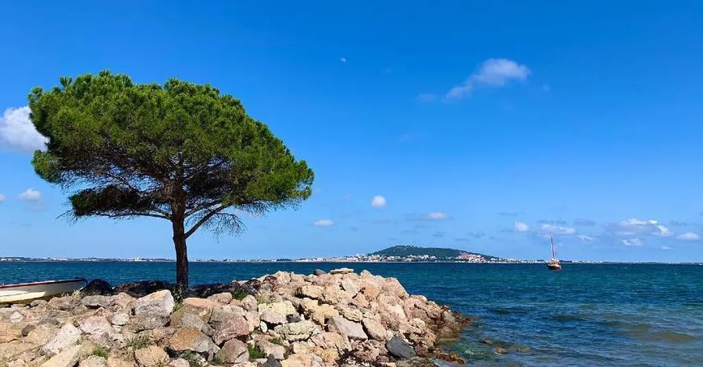L'Etang de Thau proche du camping 4 étoiles à Vias plage